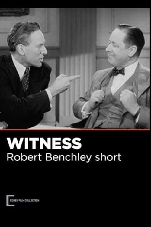 The Witness photo