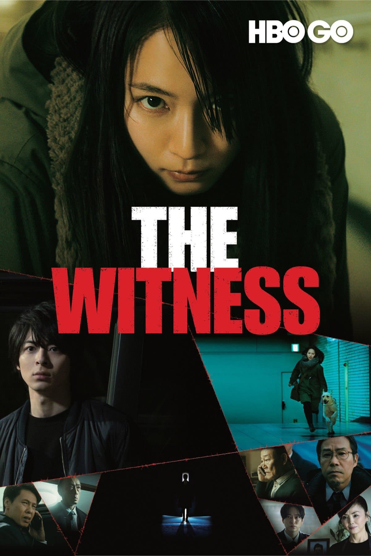 The Witness photo