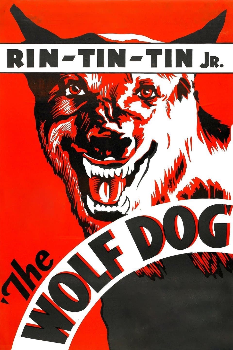 The Wolf Dog photo
