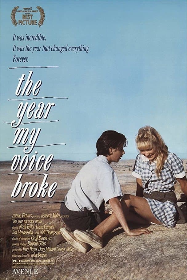 The Year My Voice Broke photo