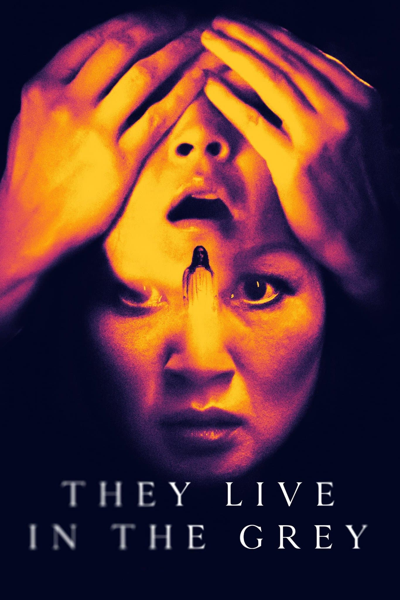 They Live in the Grey photo