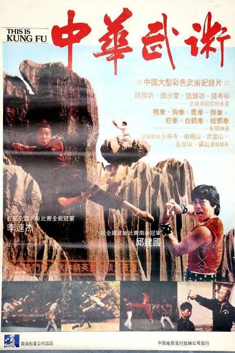 This Is Kung Fu photo