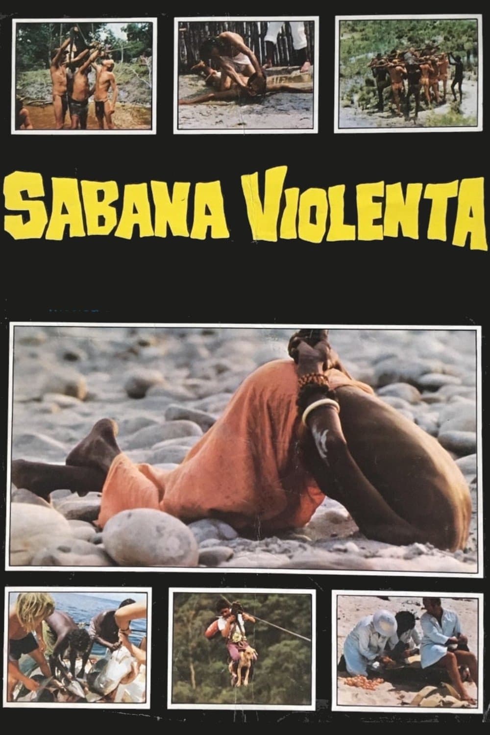 This Violent World photo