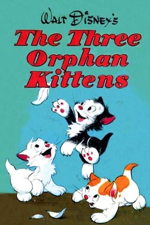Three Orphan Kittens photo