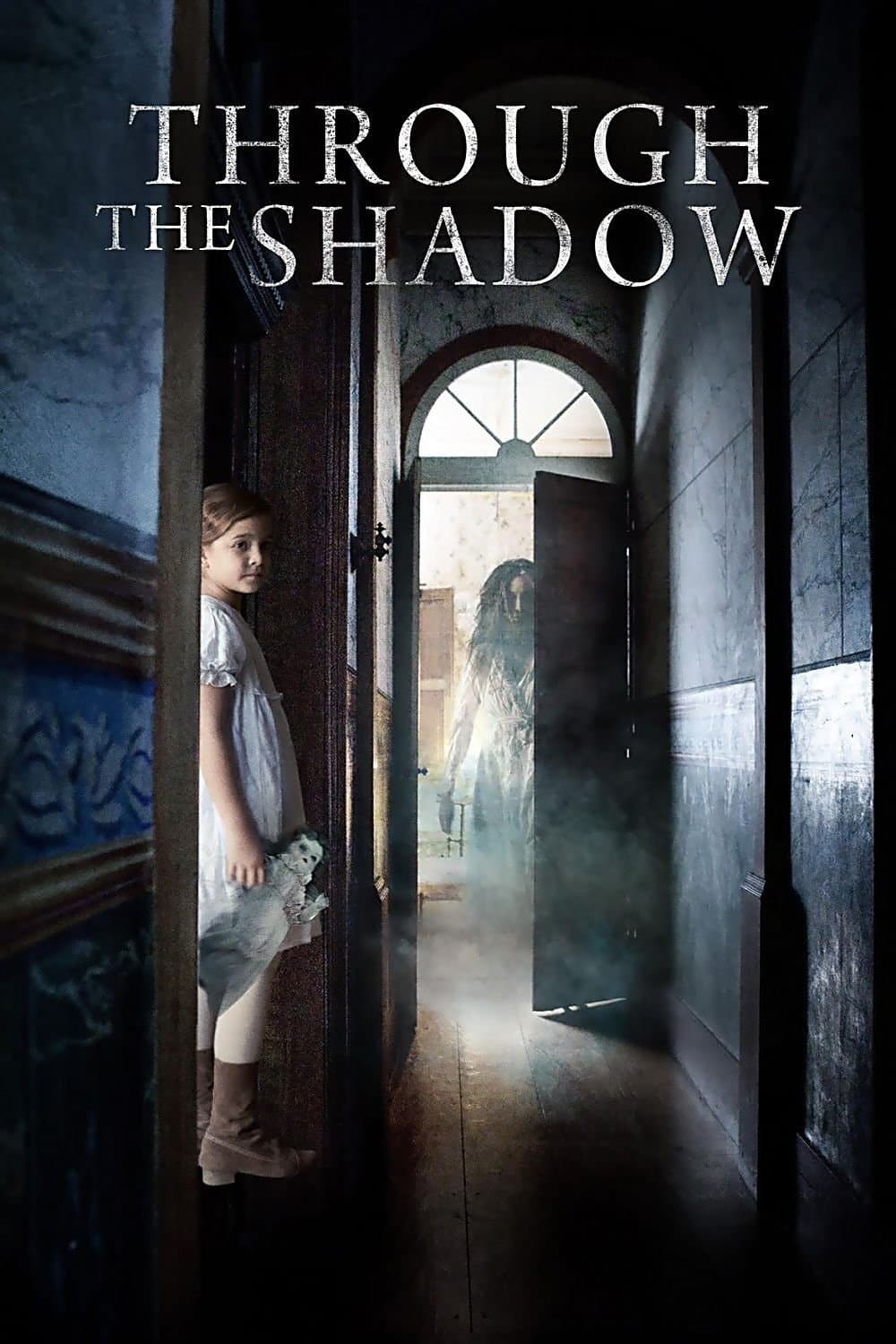 Through the Shadow photo