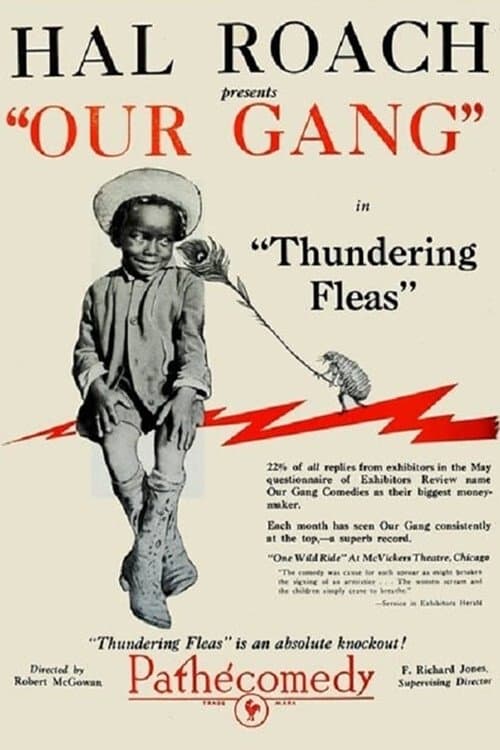 Thundering Fleas photo