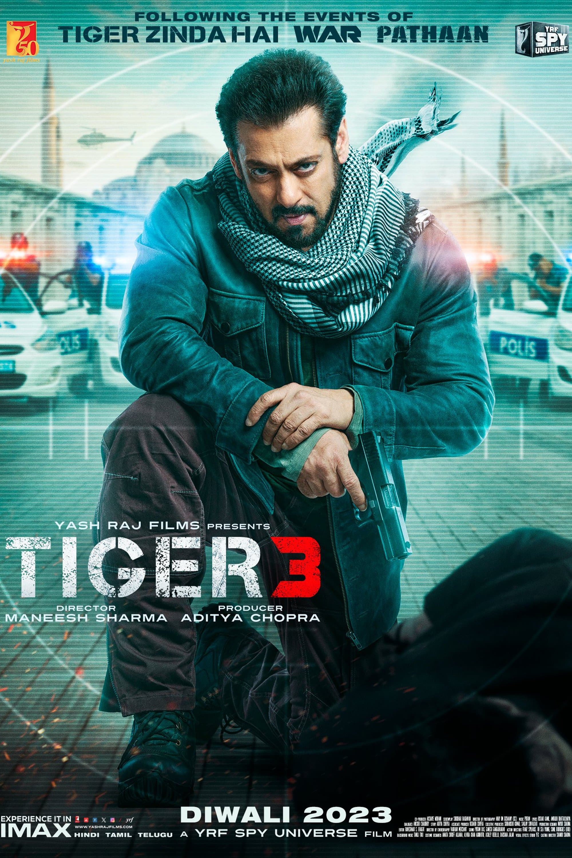Tiger 3 photo