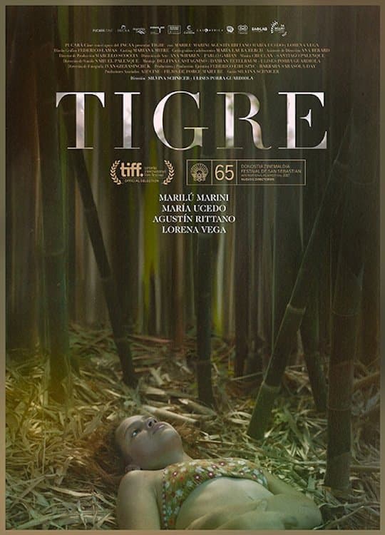 Tigre photo