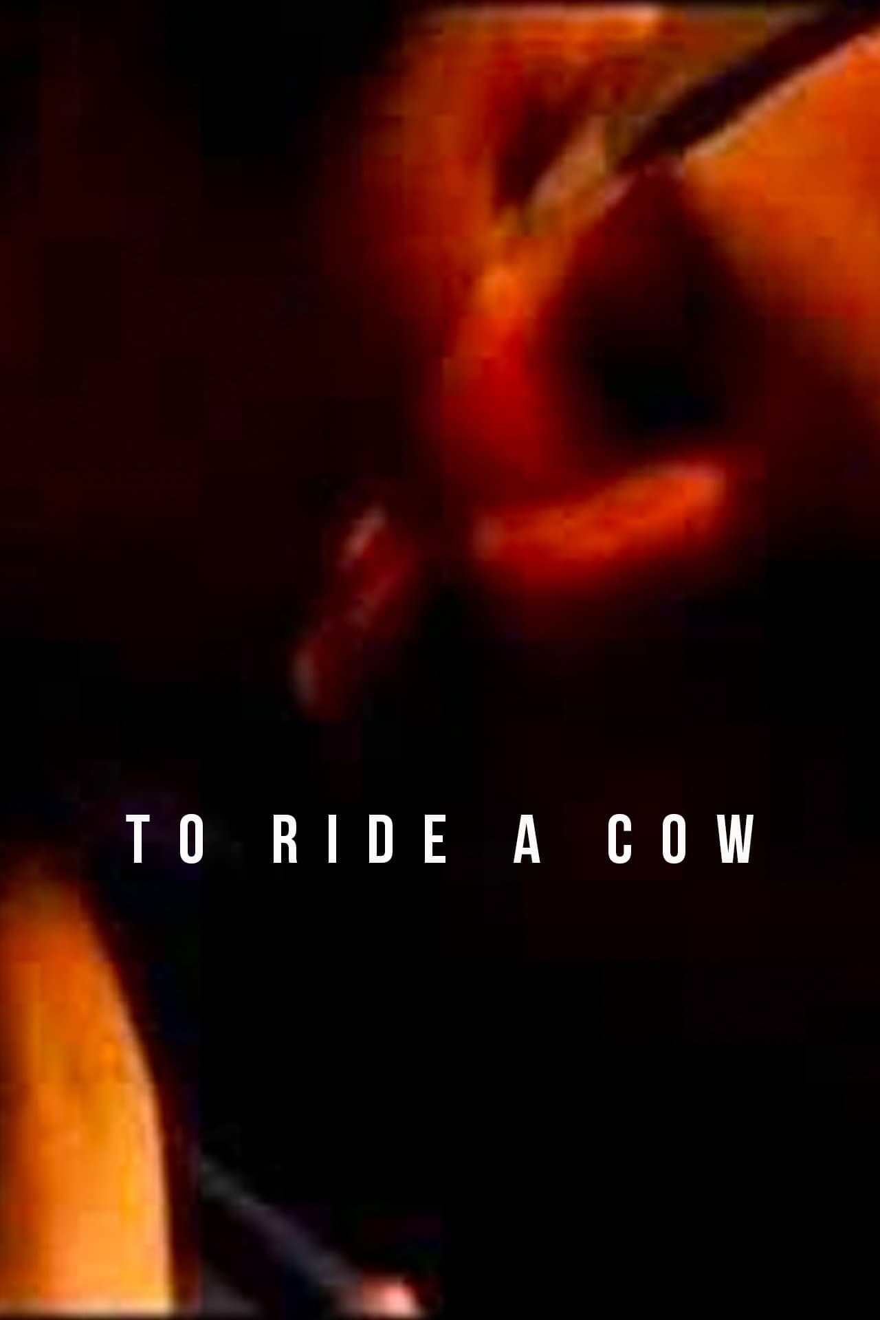 To Ride a Cow photo