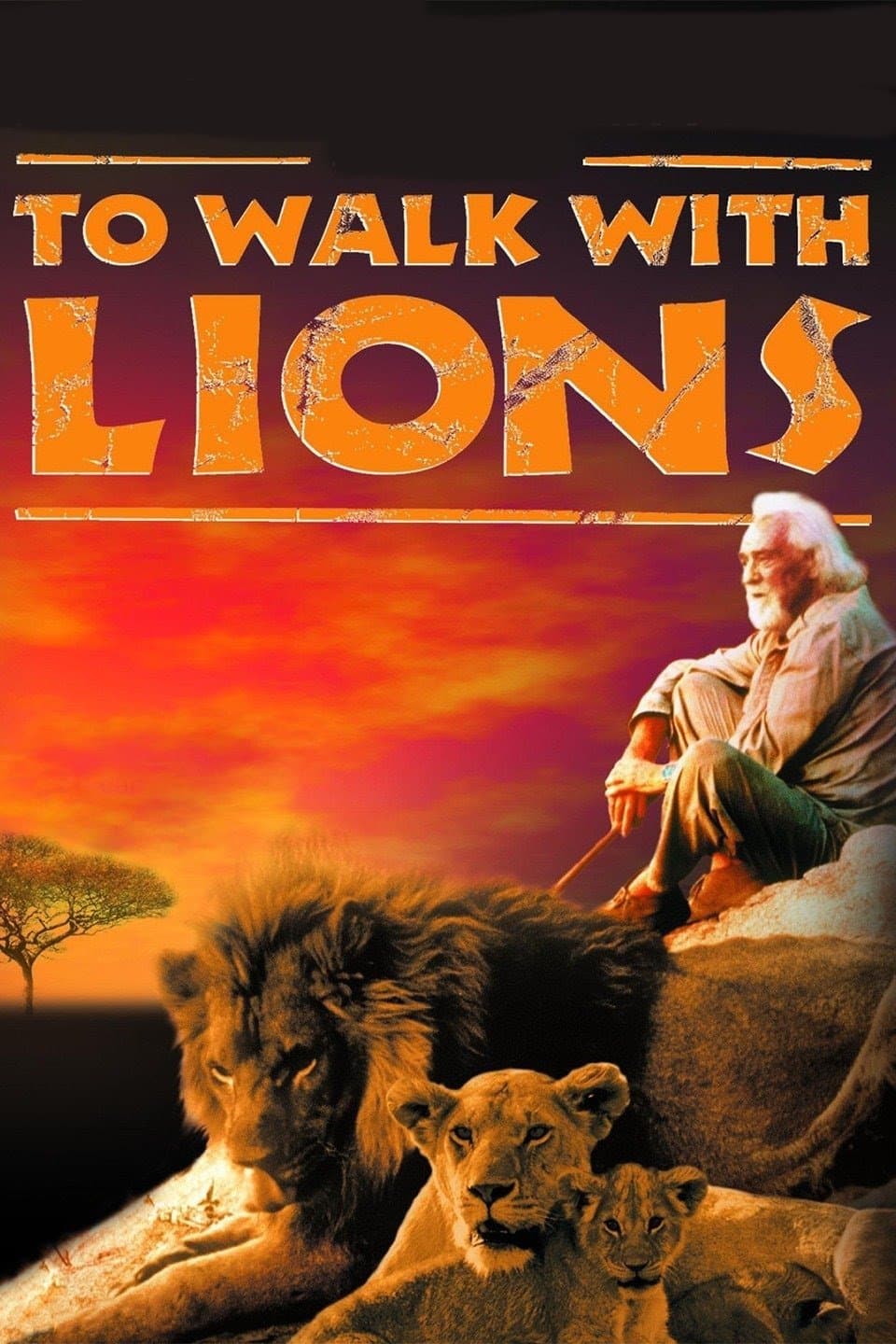 To Walk with Lions photo