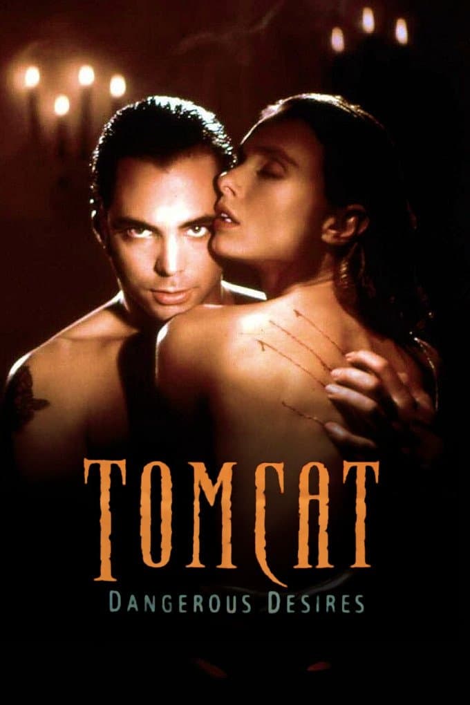 Tomcat: Dangerous Desires photo