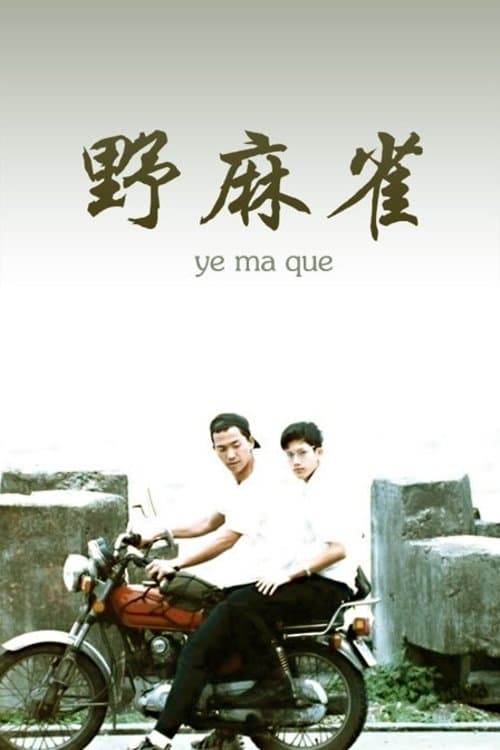 Too Young photo