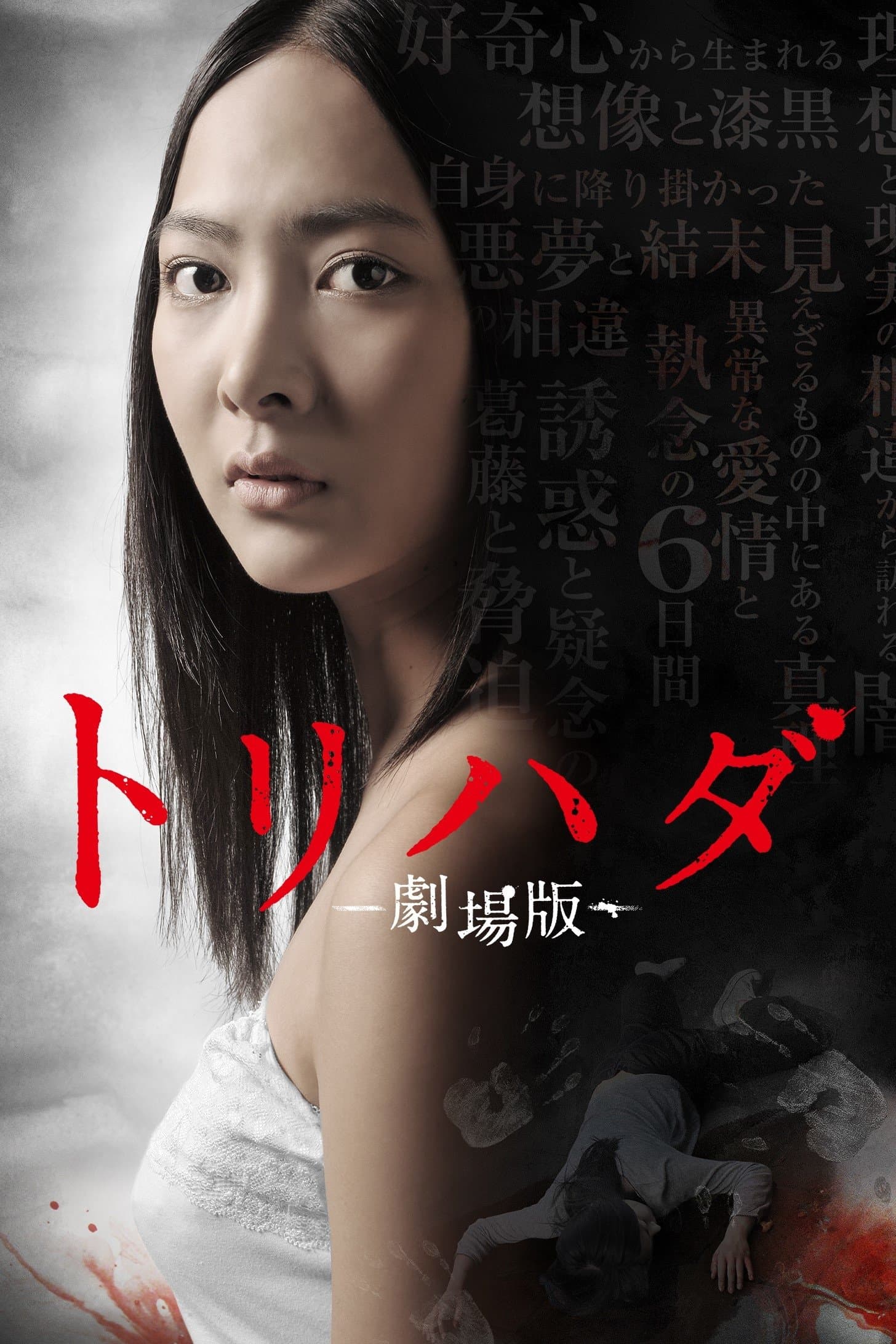 Torihada: The Movie photo