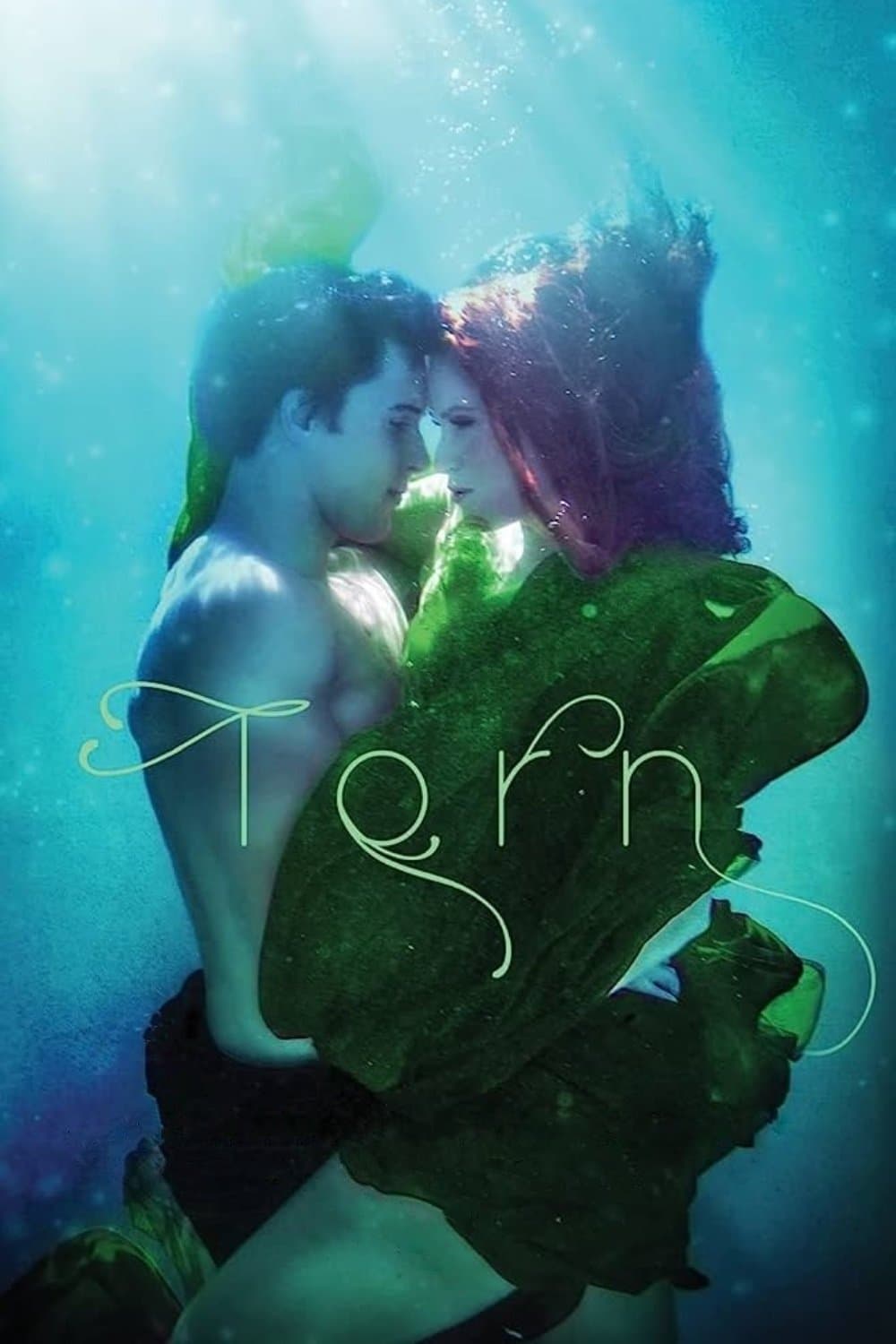 Torn photo