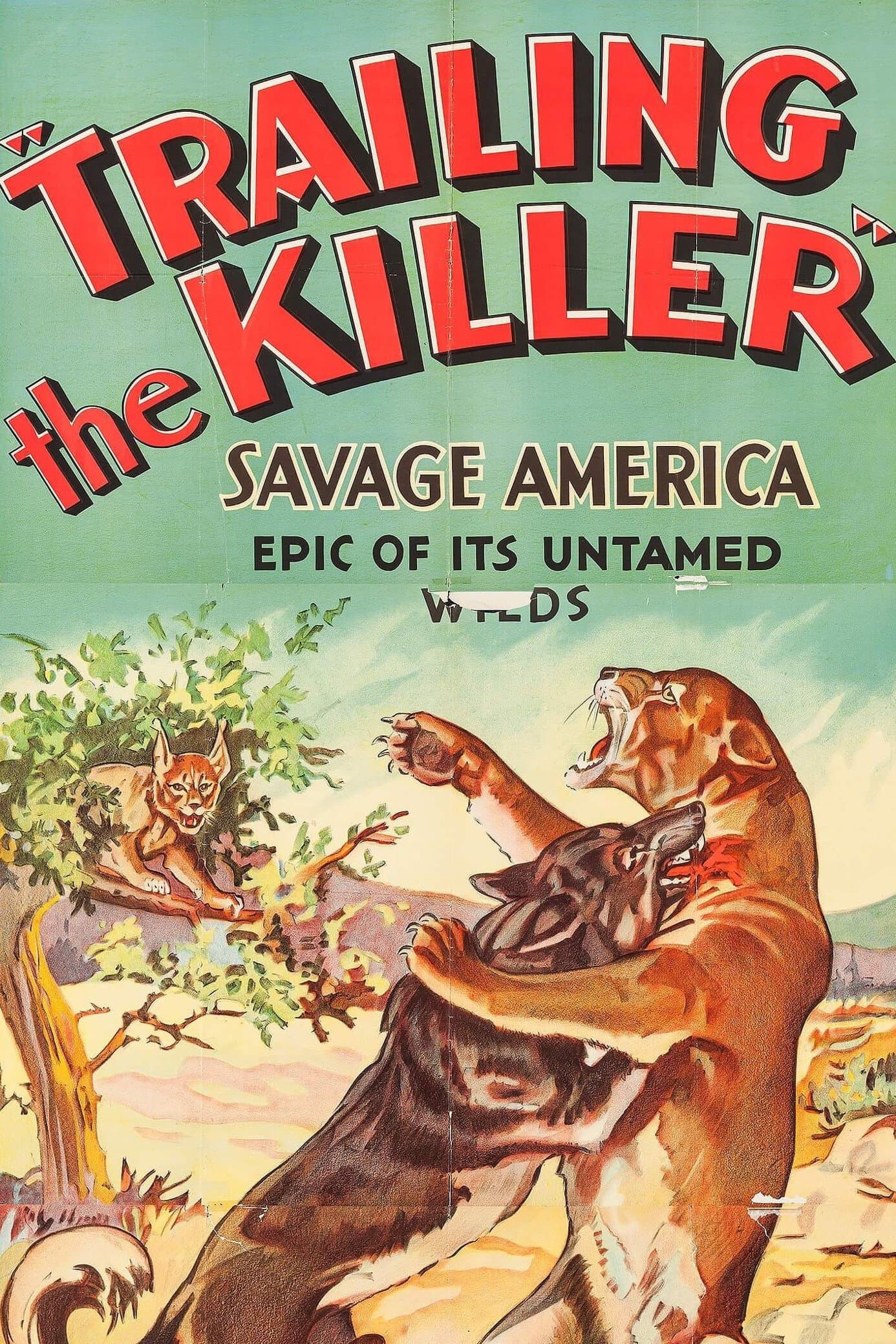 Trailing the Killer photo