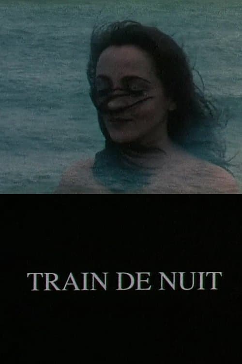 Train de nuit photo