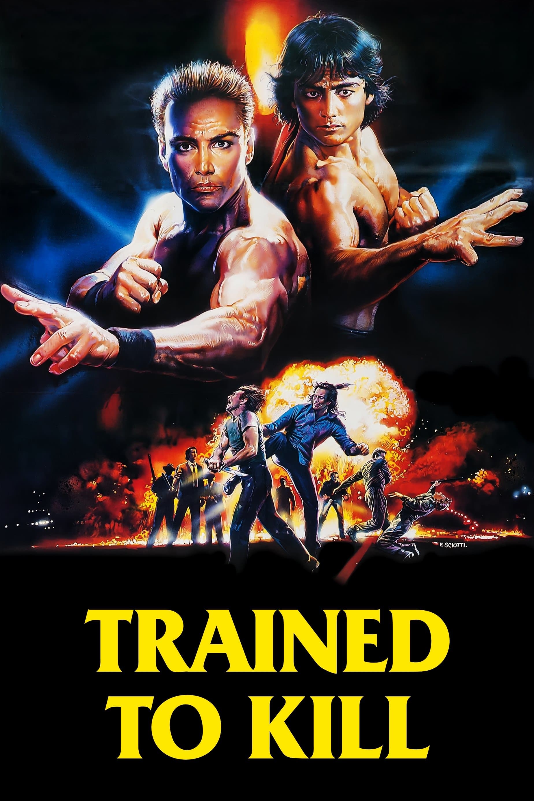 Trained To Kill photo