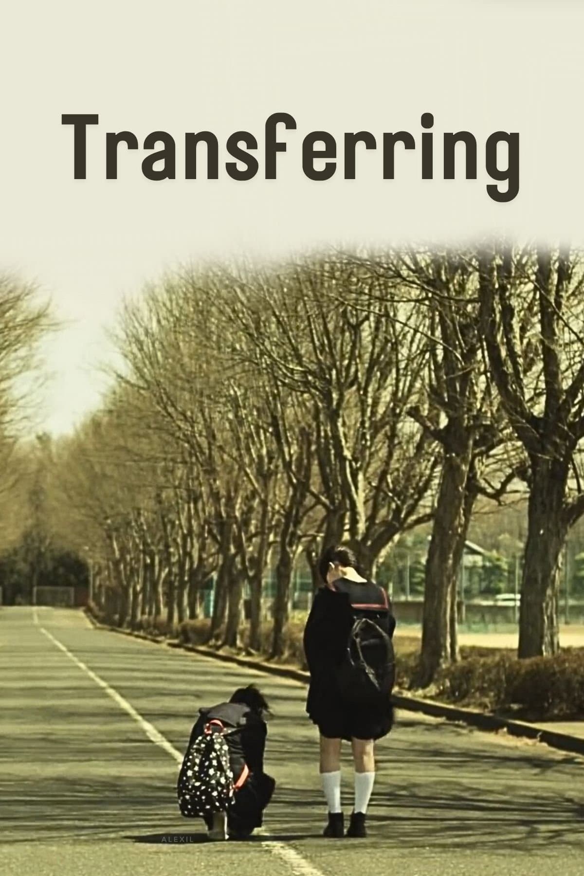 Transferring photo