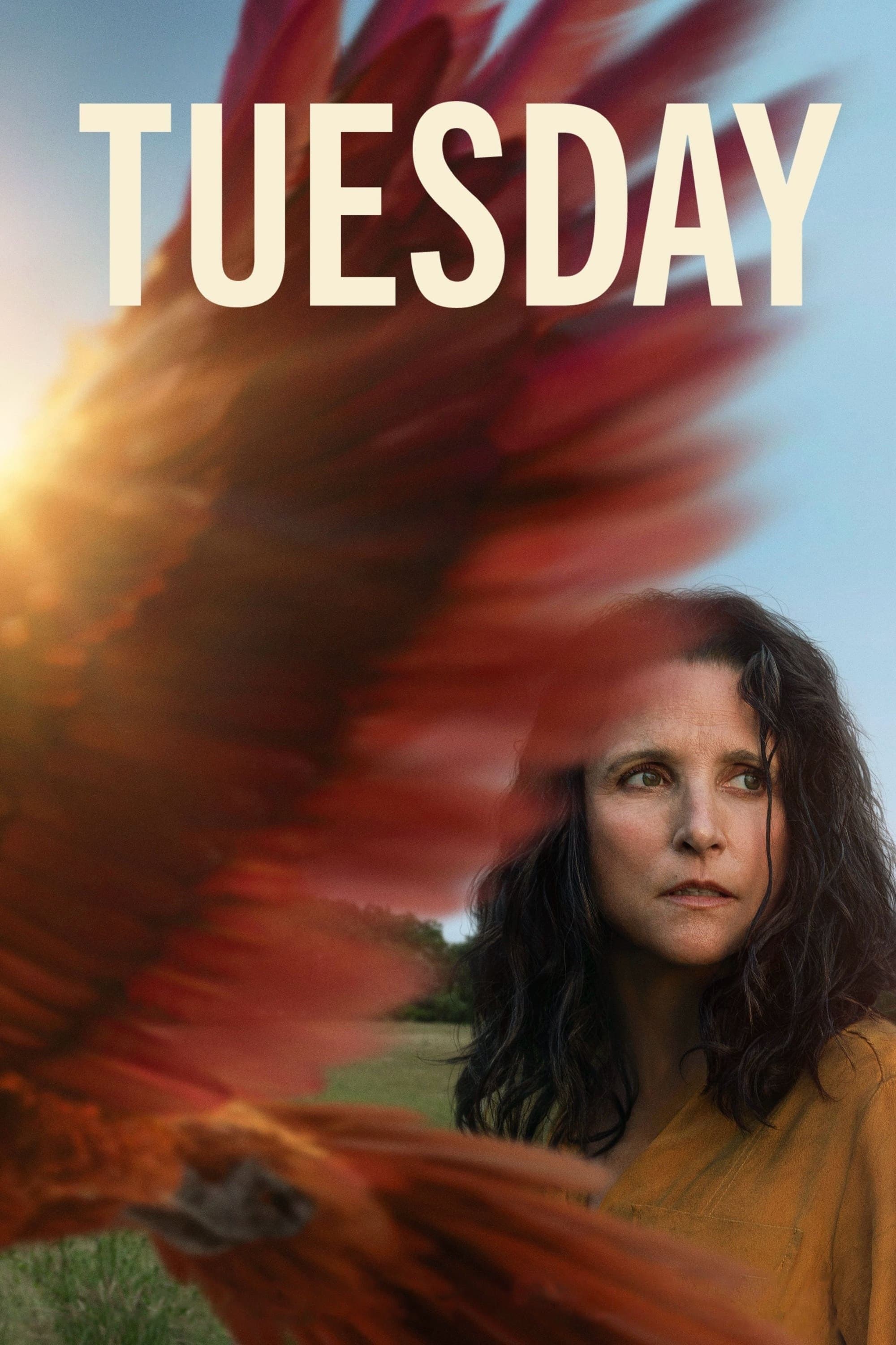 Tuesday photo