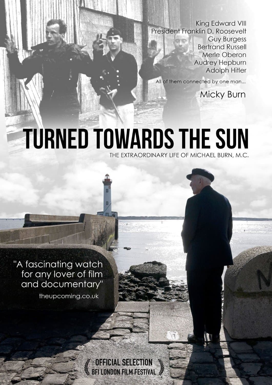 Turned Towards the Sun photo