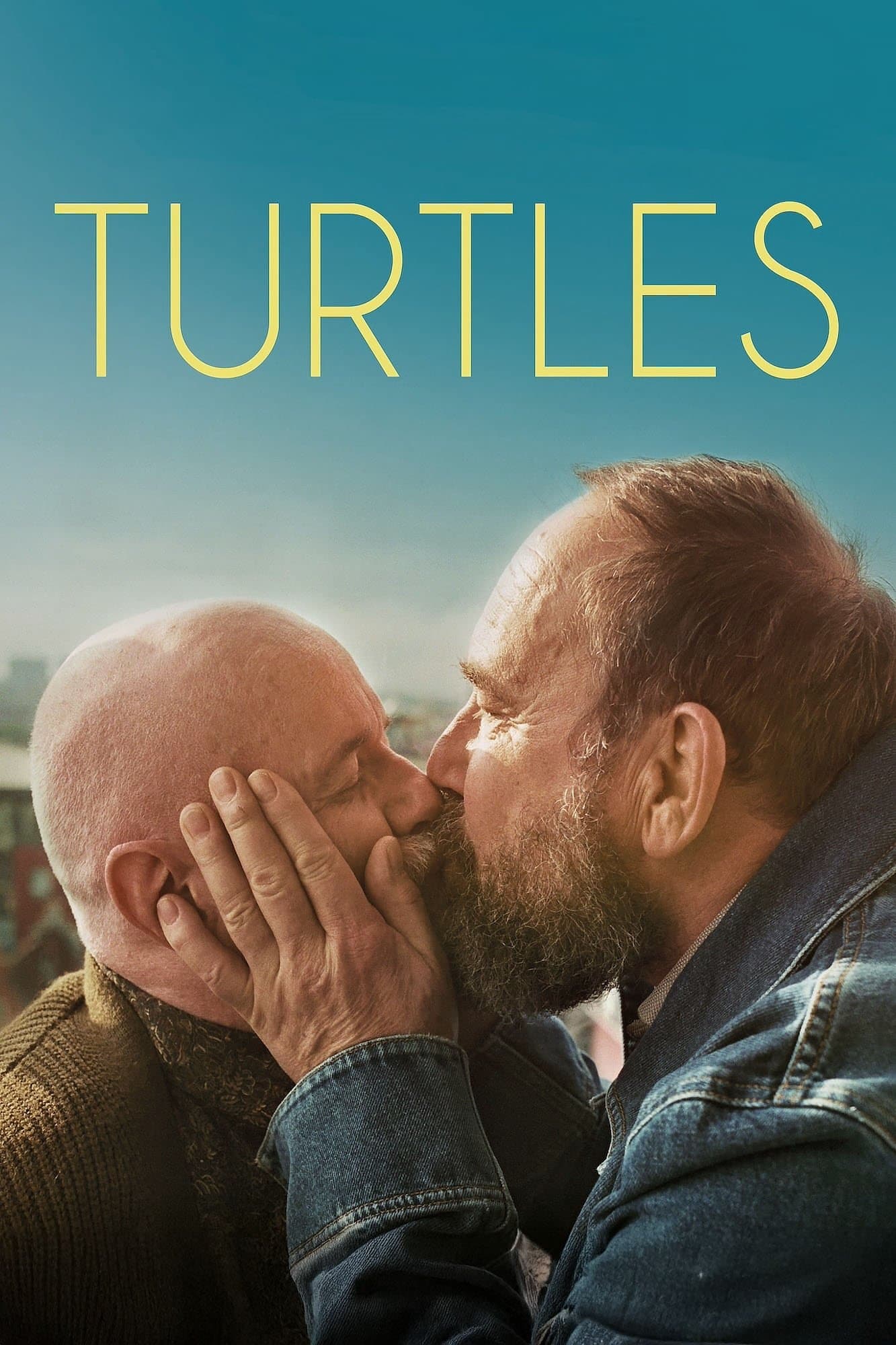 Turtles photo