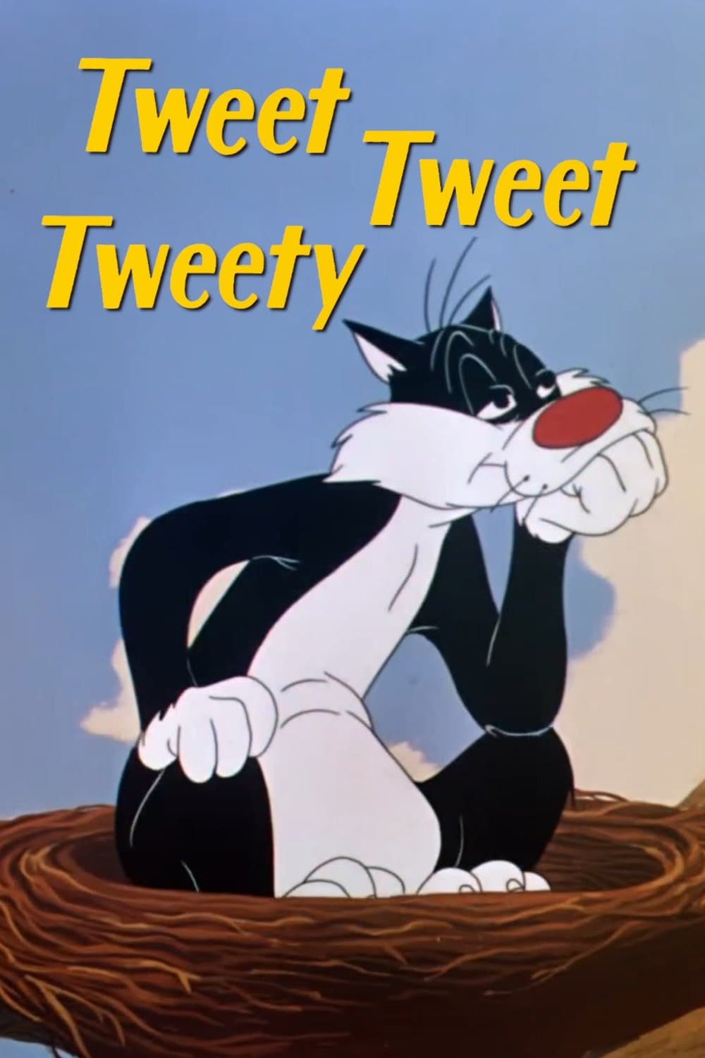 Tweet Tweet Tweety photo