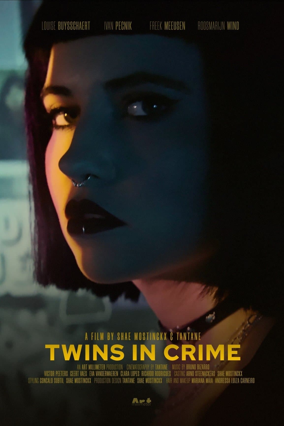 Twins in Crime photo