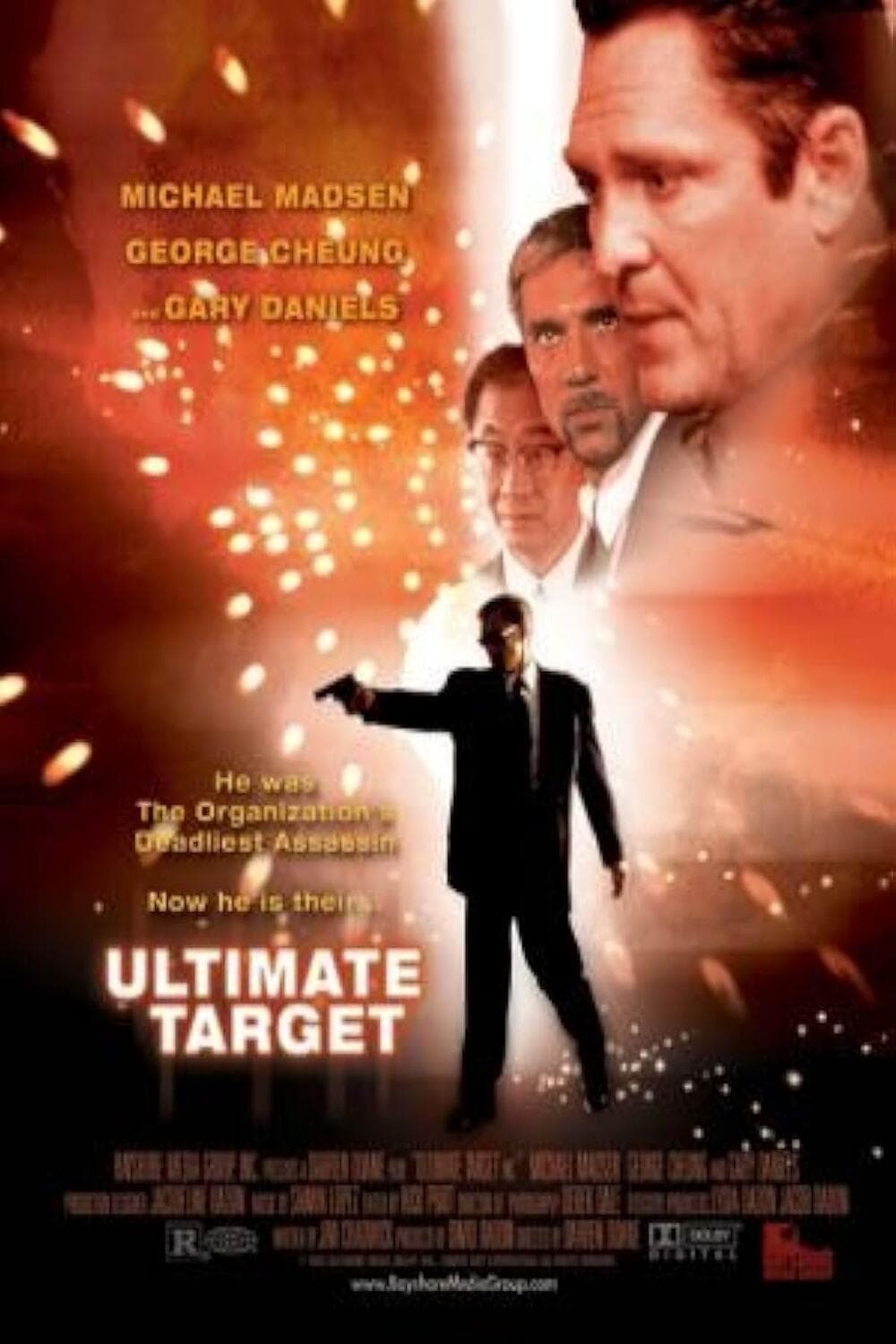 Ultimate Target photo