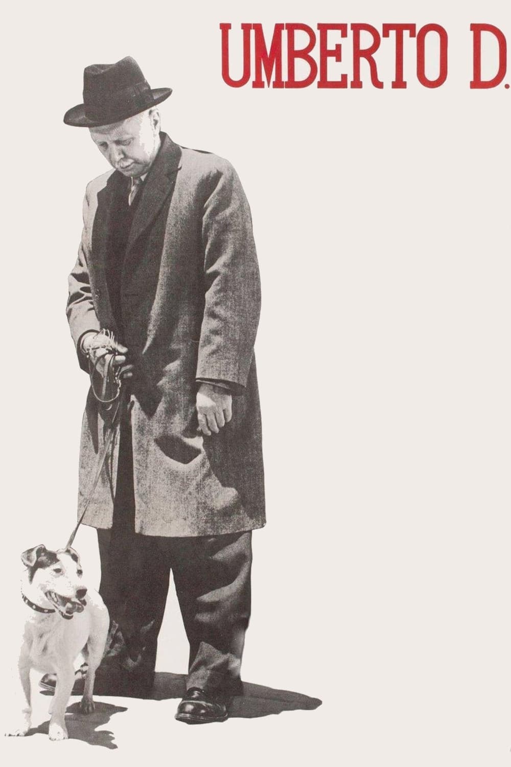 Umberto D. photo