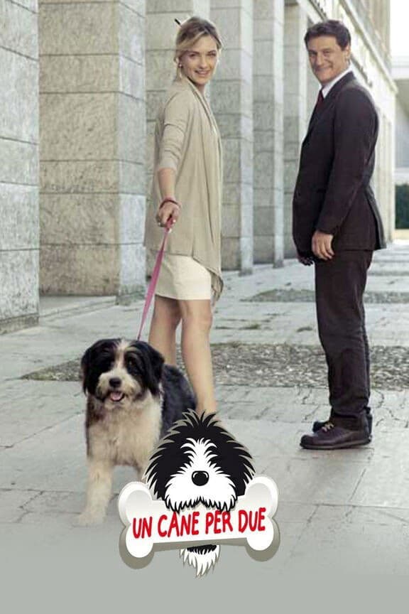 Un cane per due photo