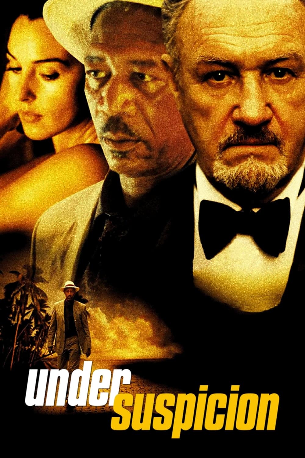 Under Suspicion photo