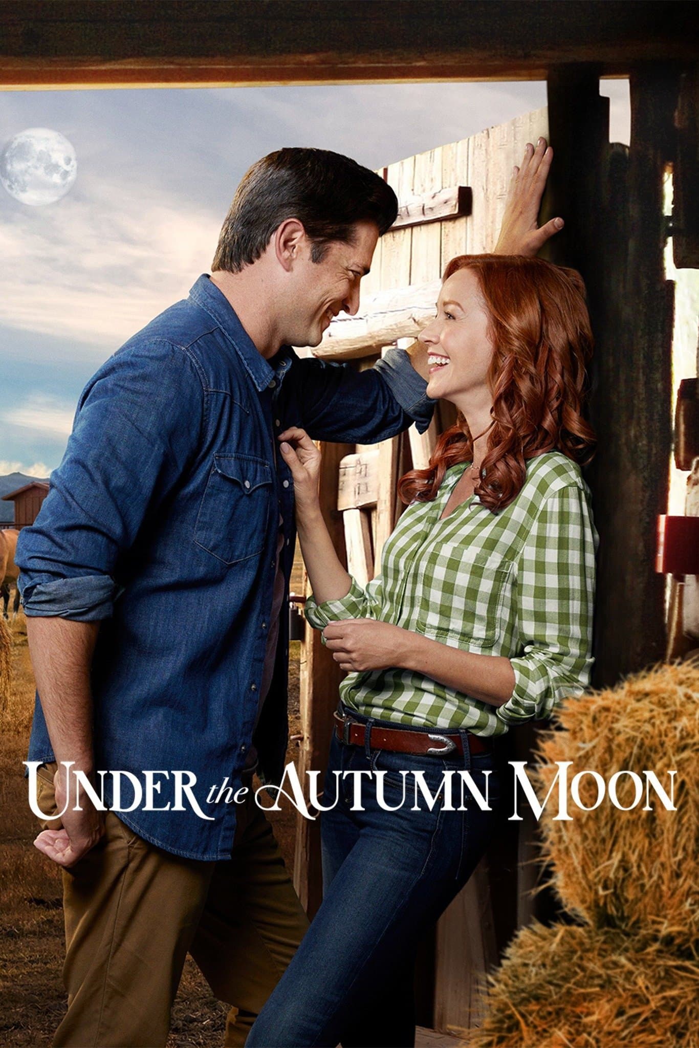Under the Autumn Moon photo