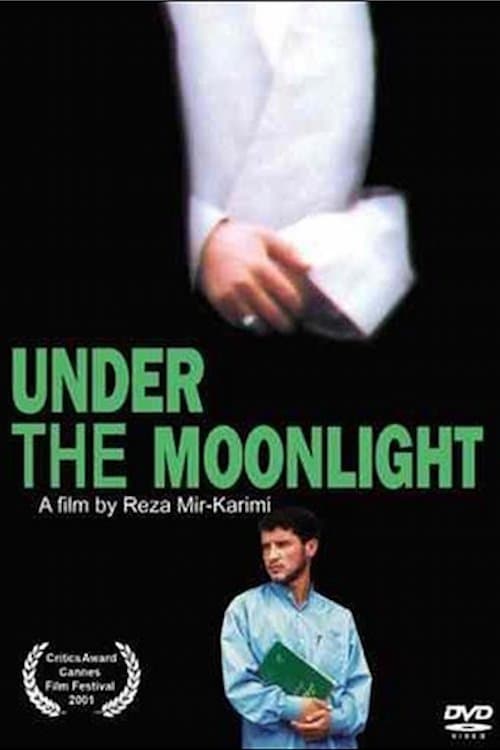 Under the Moonlight photo