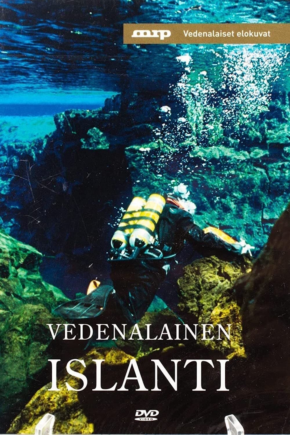 Underwater Iceland photo