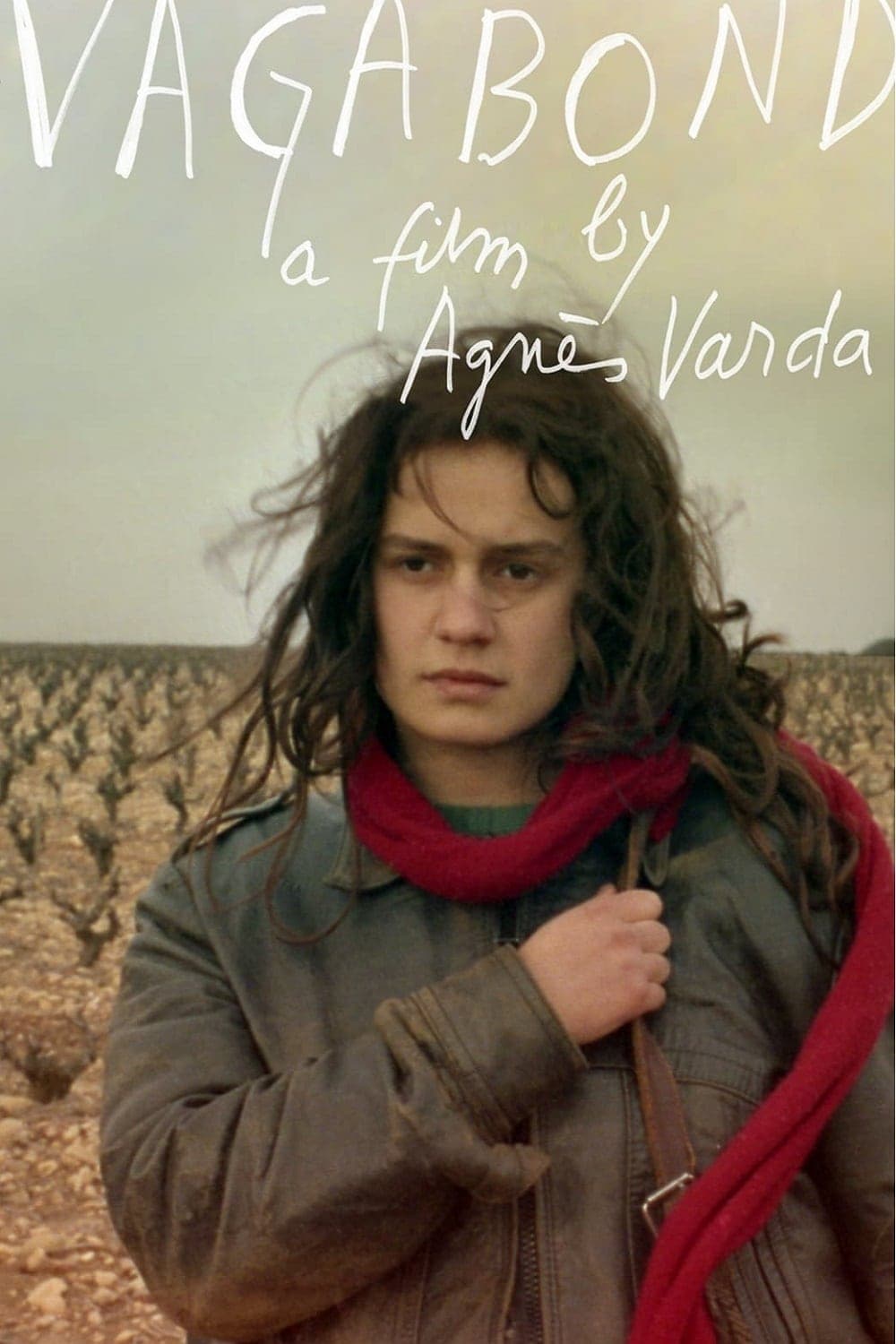 Vagabond photo