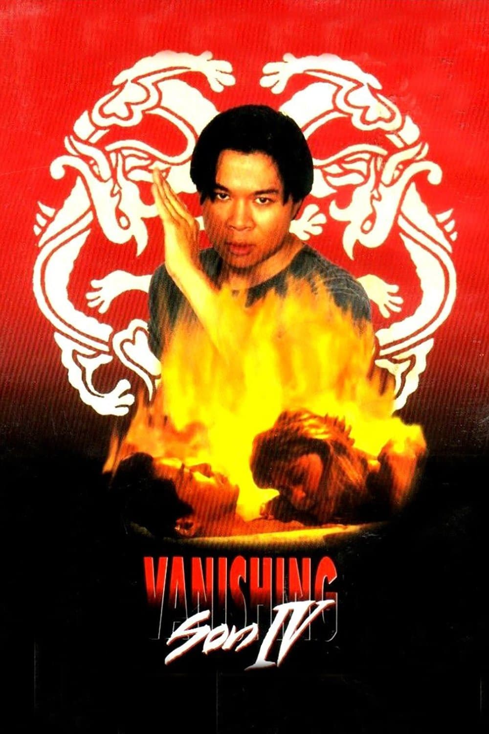Vanishing Son IV photo