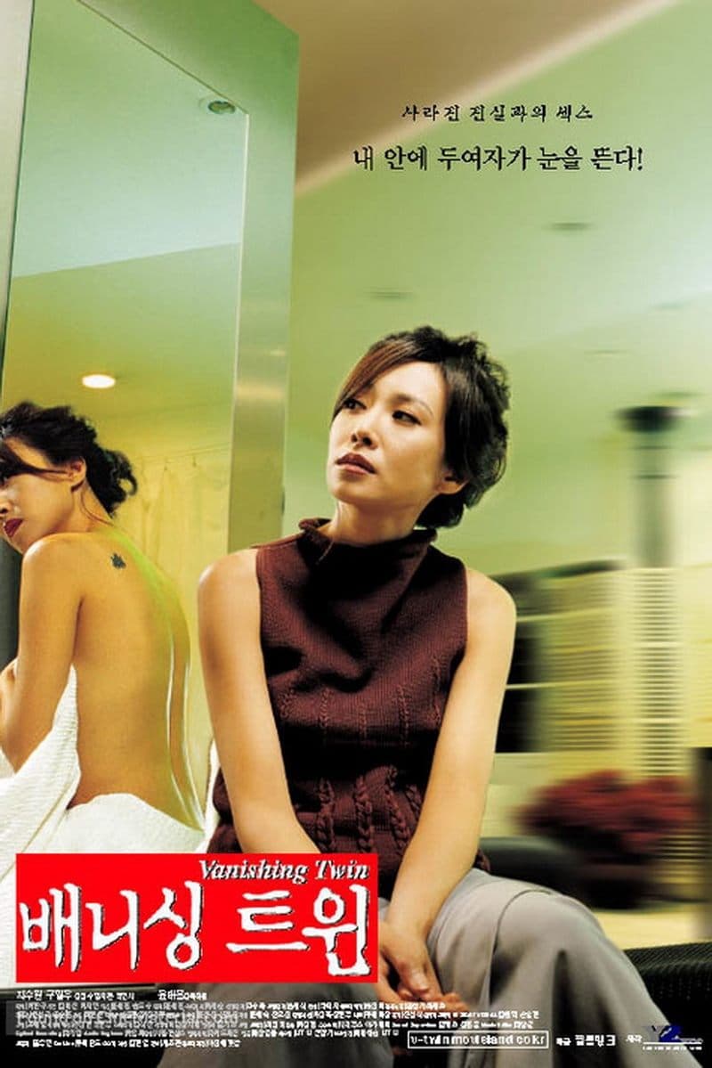 Vanishing Twin photo