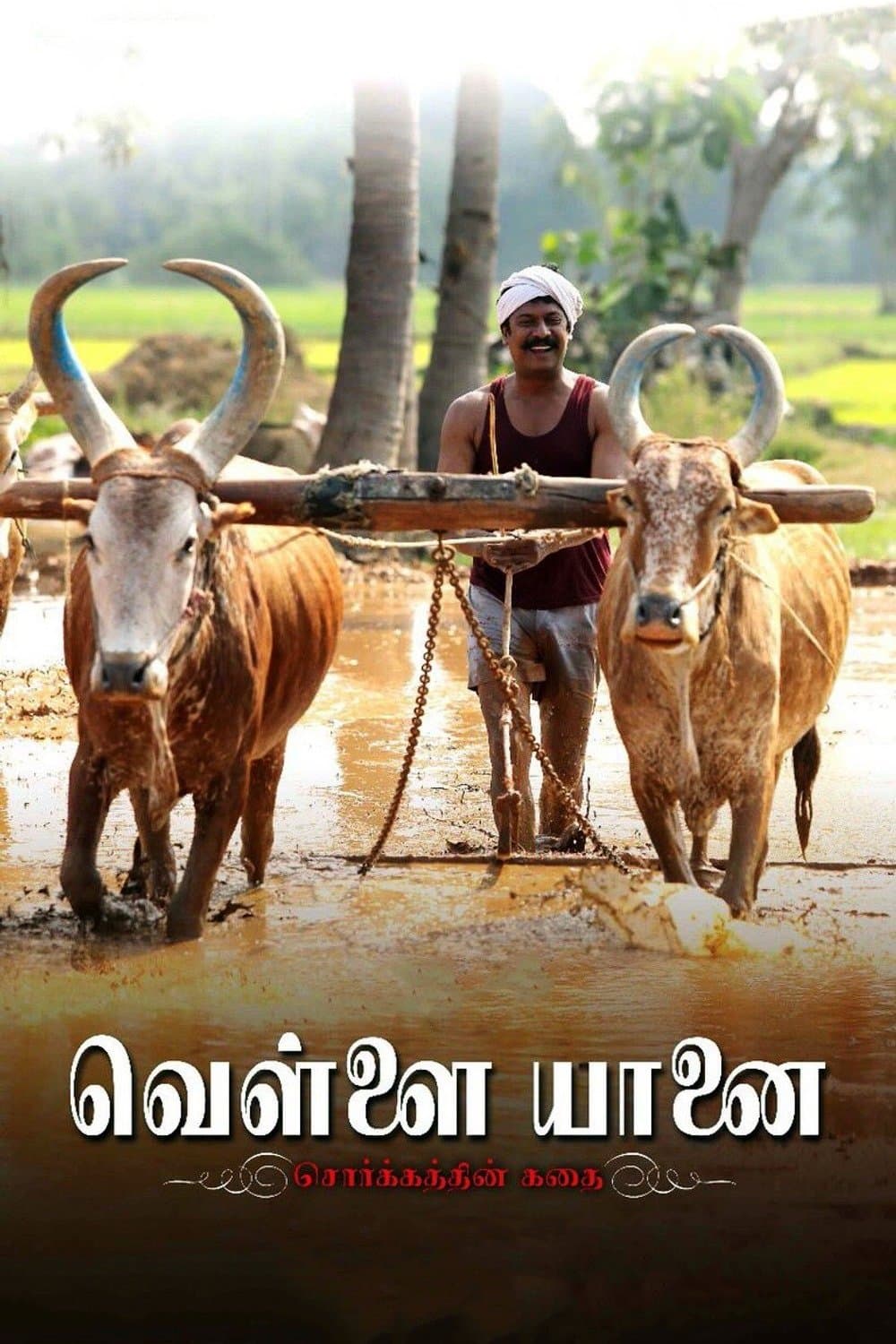 Vellai Yaanai photo