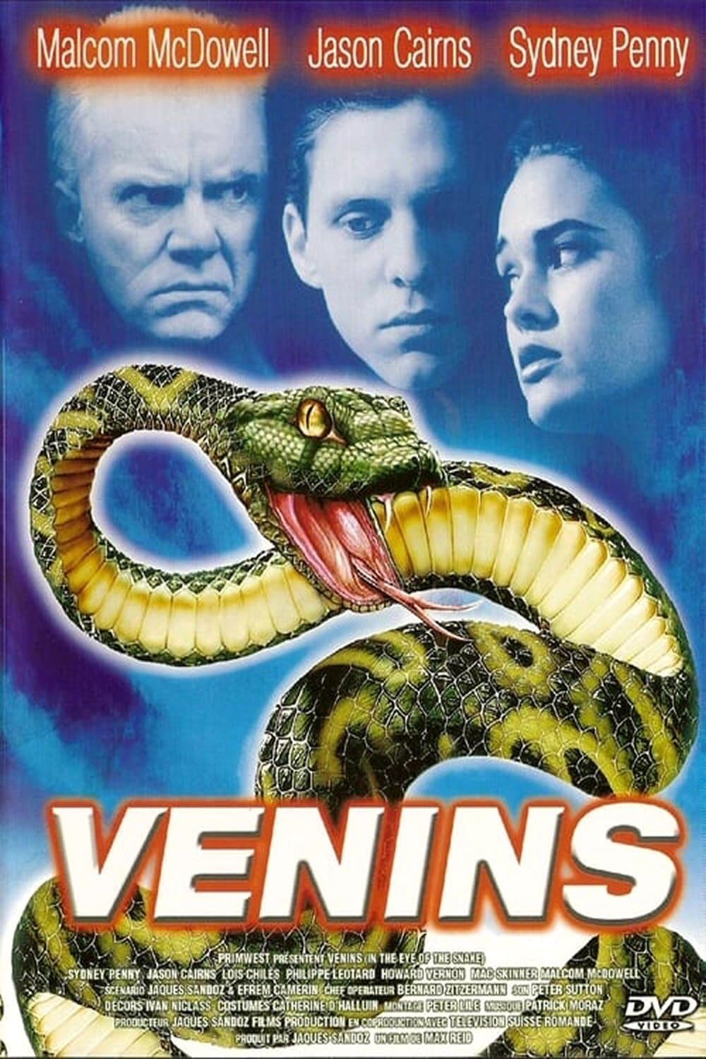 Venins photo