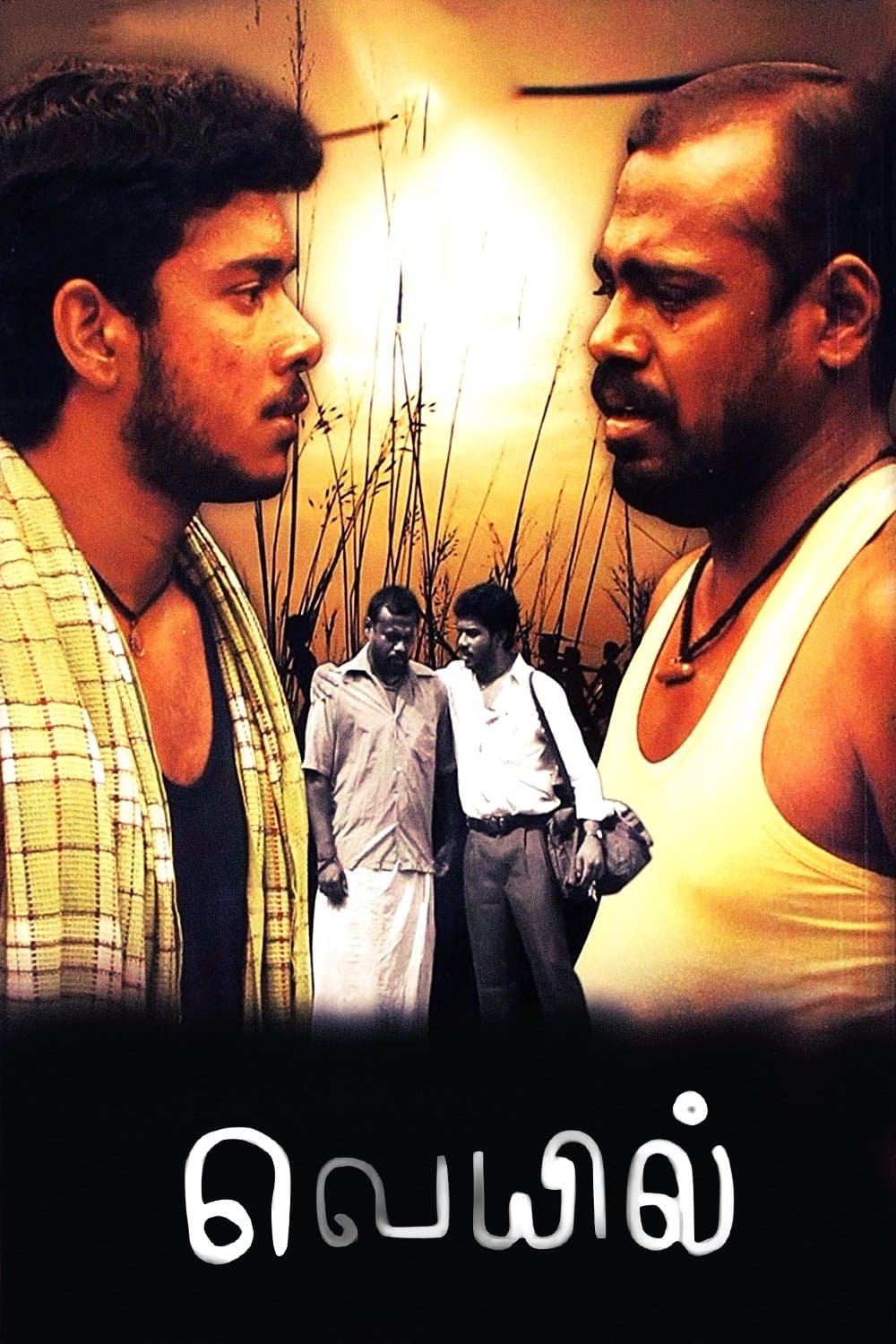Veyyil photo