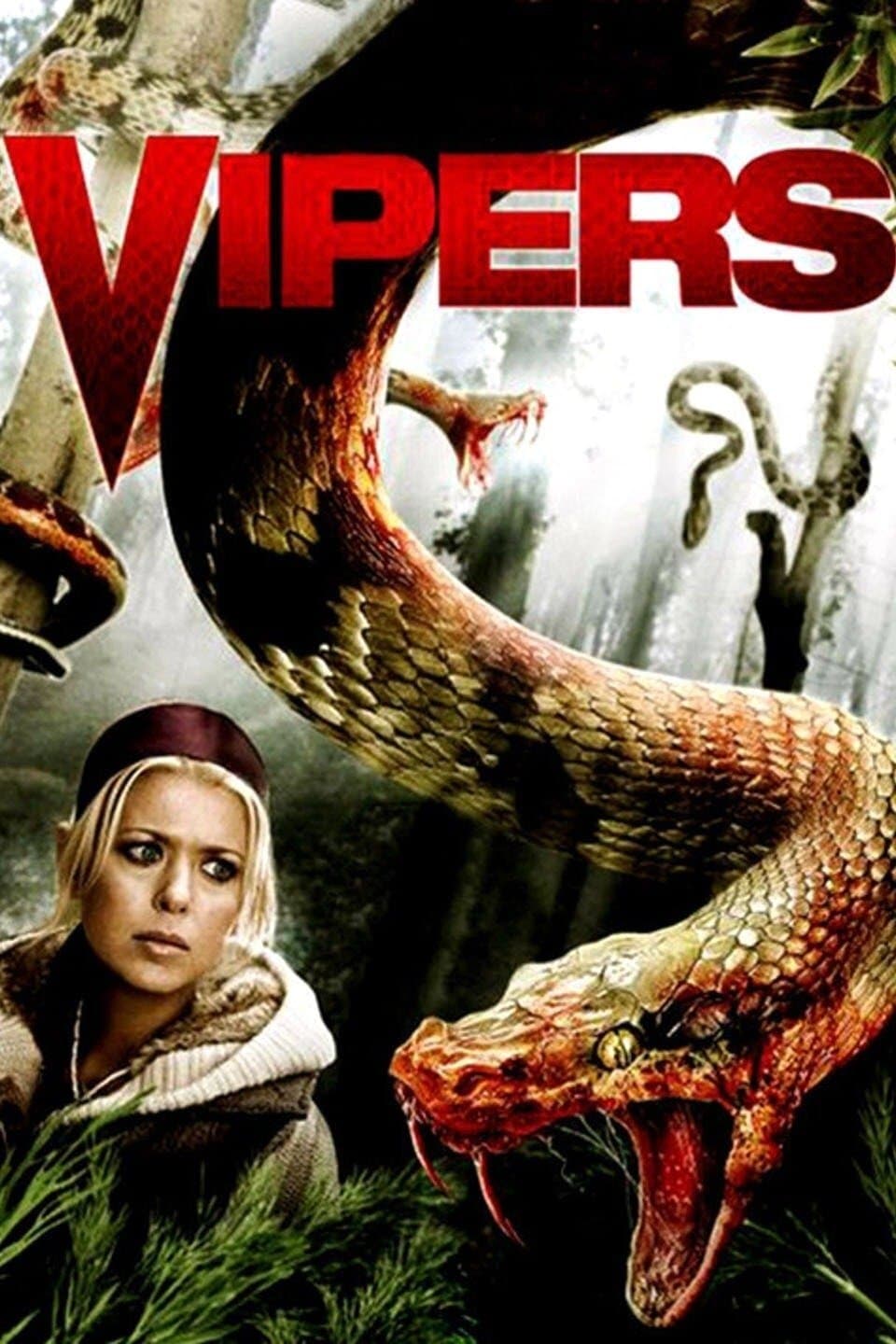 Vipers photo