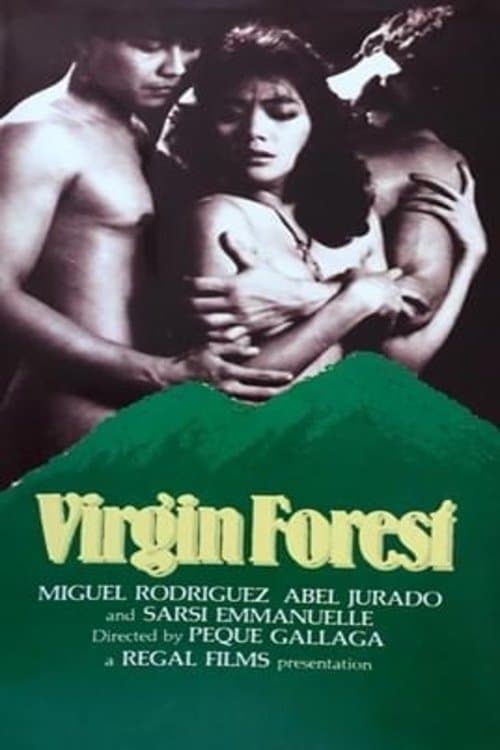 Virgin Forest photo