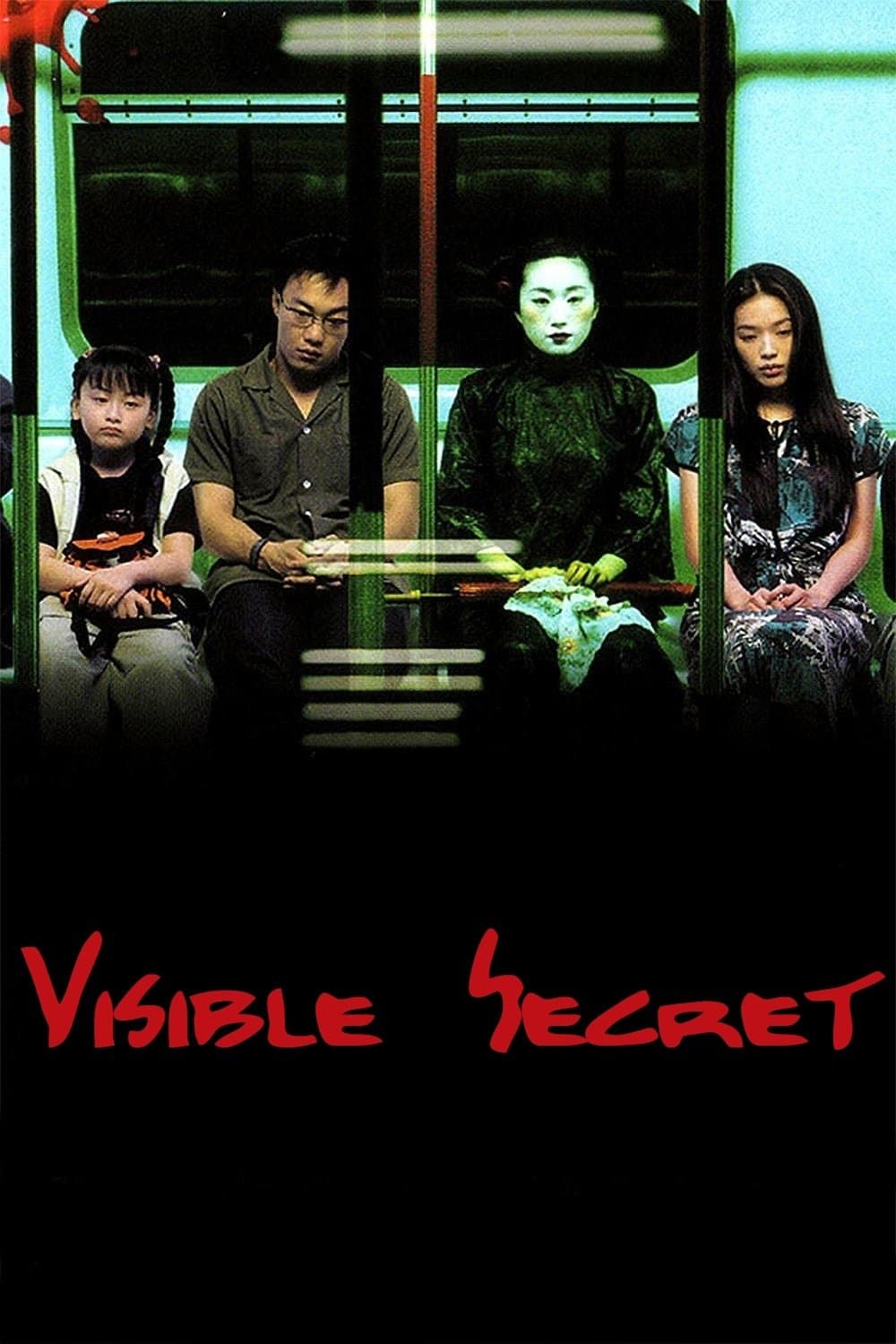Visible Secret photo