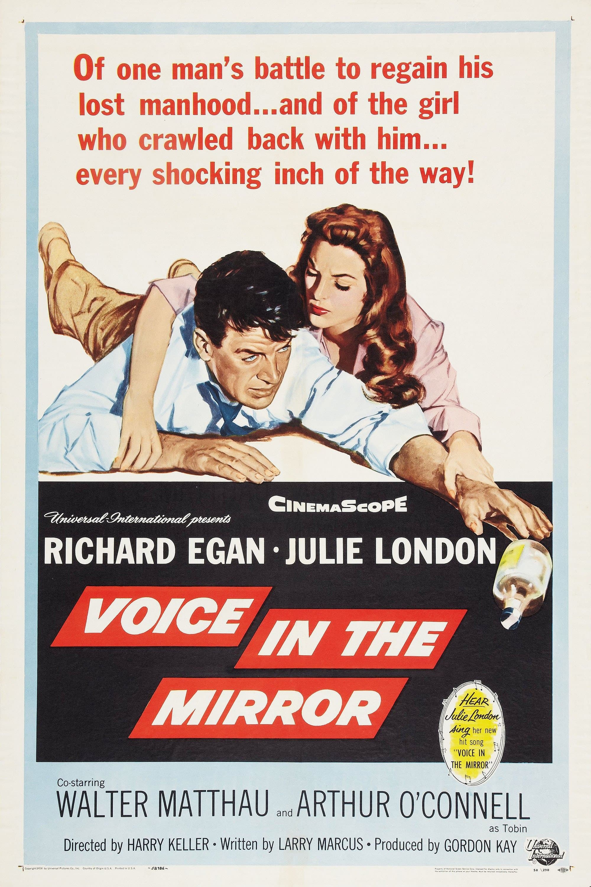 Voice in the Mirror photo