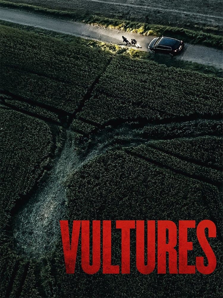 Vultures photo