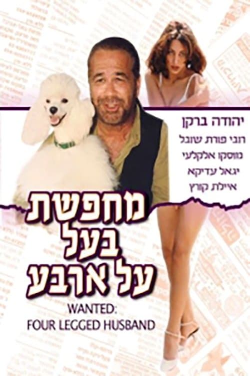 Wanted: Four Legged Husband photo