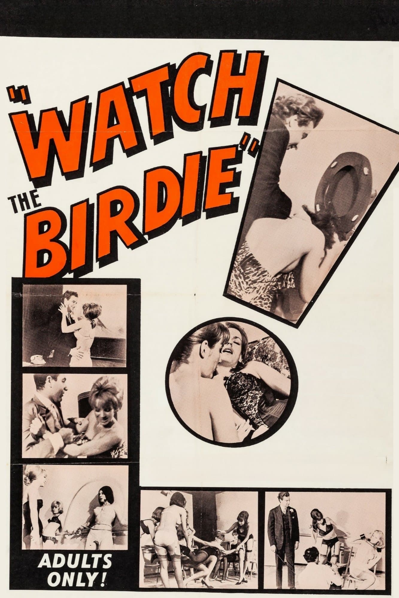 Watch the Birdie photo