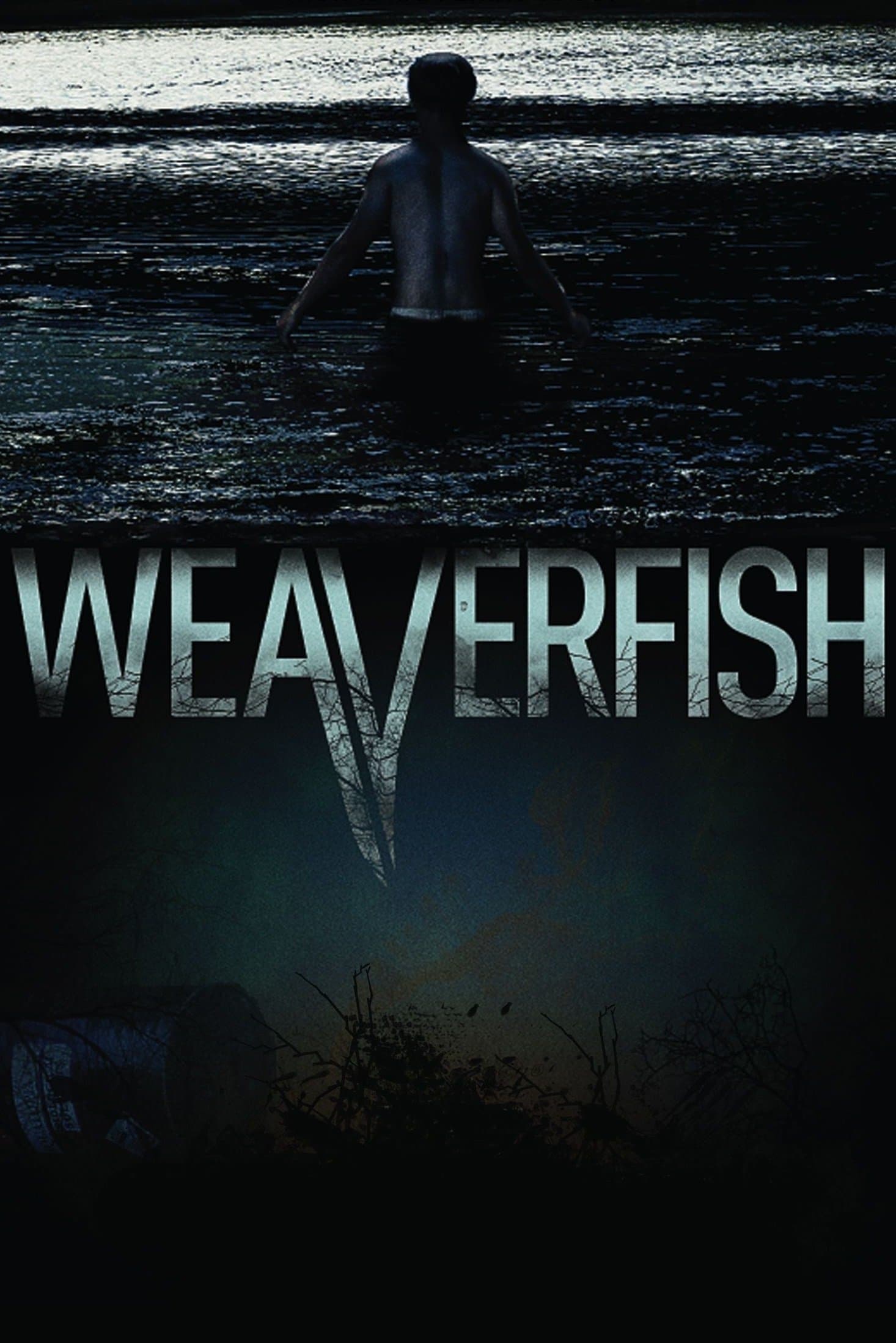 Weaverfish photo