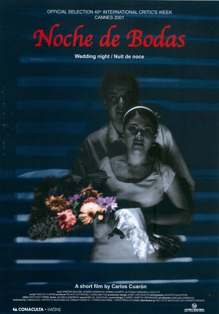 Wedding Night photo