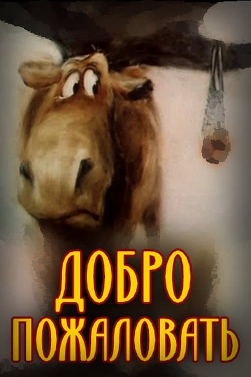 Welcome photo